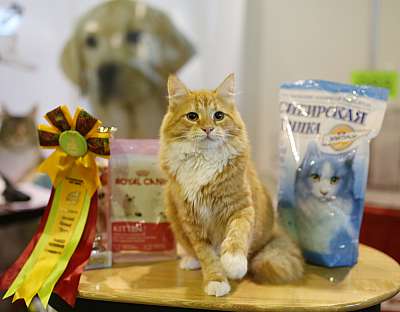 �������� �����  20-21 �������� 2014 ������������ ��� 4-244-169A2180 copy.jpg